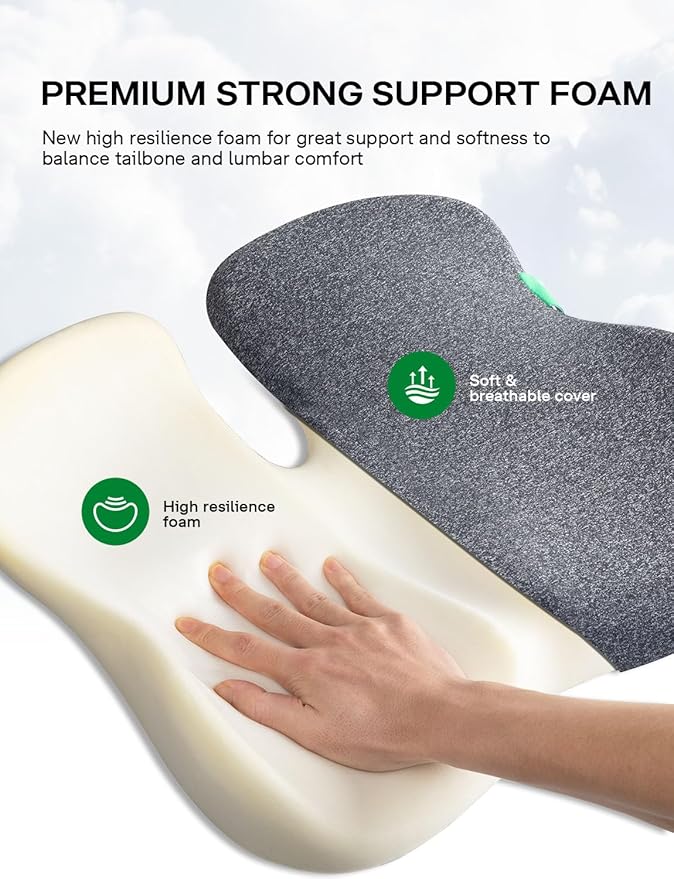 Seat Cushion